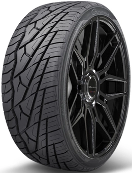 225/30R22 87W XL