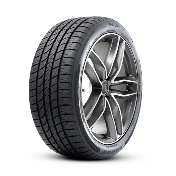 255/45R19